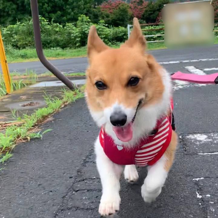 2945a86f f772 4c9d b878 f3f795ff2f33 1660798455363