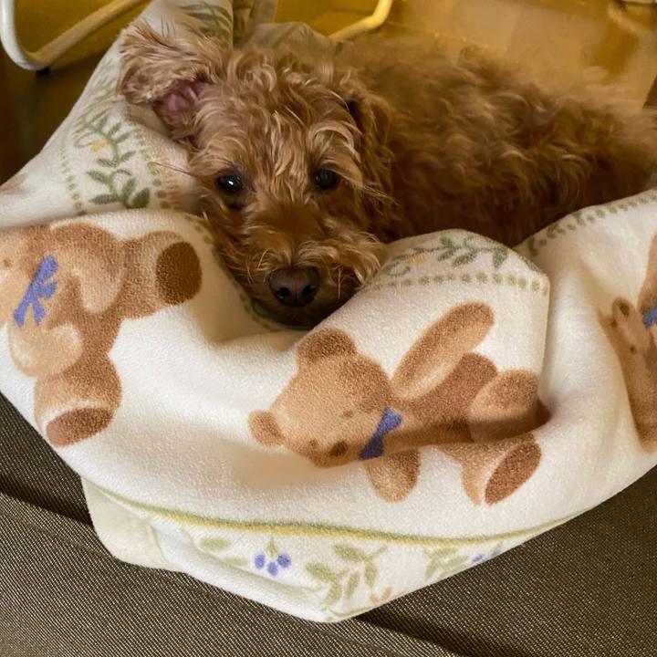 2945aa35 9c03 4bf6 afa9 119beac6a626 1668726774064