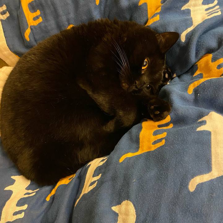 2945cef3 b816 4c2a 83c9 c920ab46d77c 1768134067622