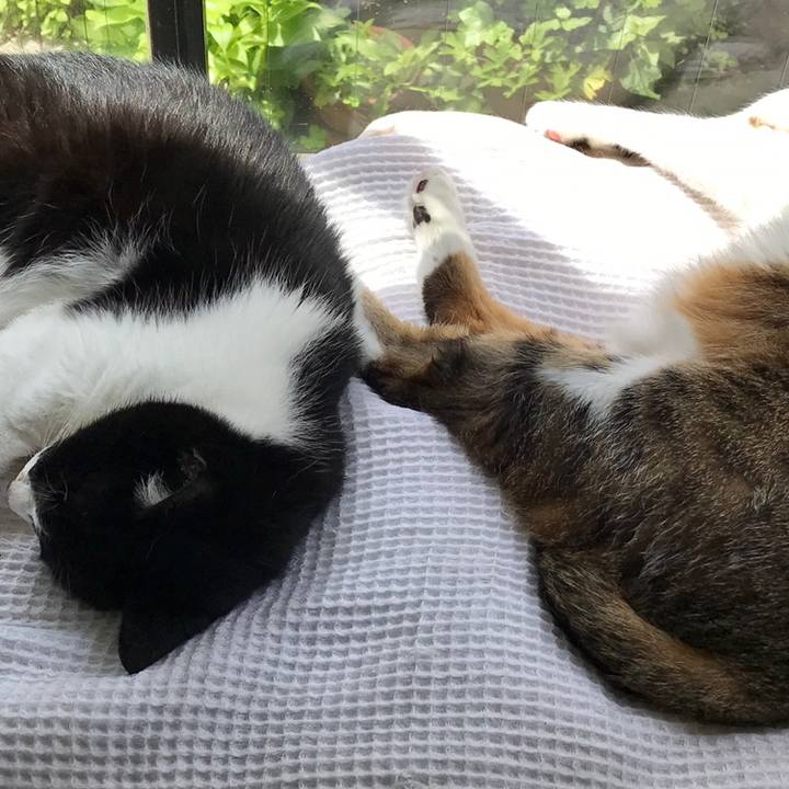 294616b6 1201 43a4 9d6c d6f16feba545 1559524946270