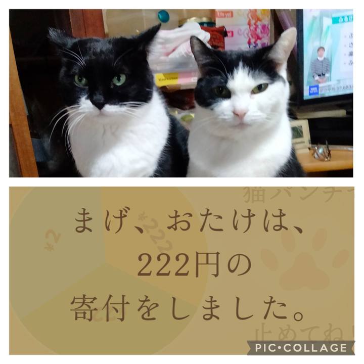 29463625 0179 41ea 90dd 3453a159bfc1 1708386304613