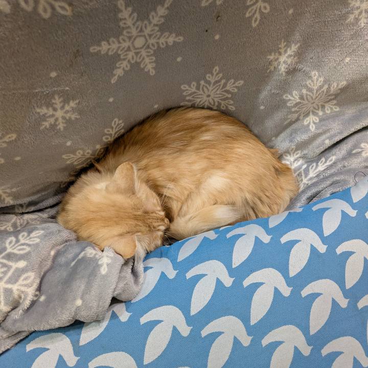 29465224 6e2f 4c01 9595 2d32d7dd3ebf 1733399435490