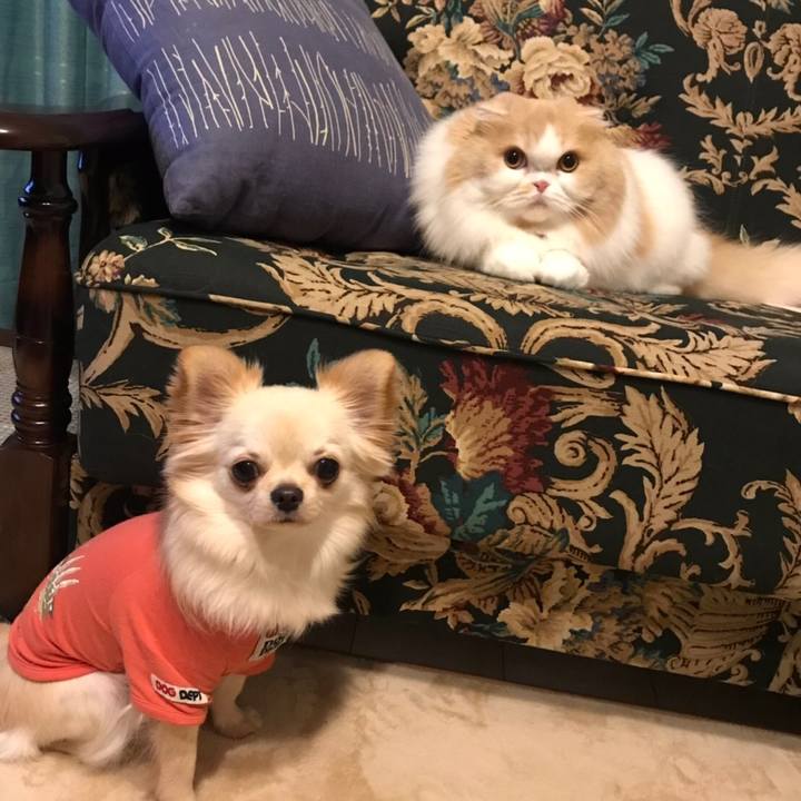 2946594e 1ebc 4817 bf2b 2bff14978301 1573830215956