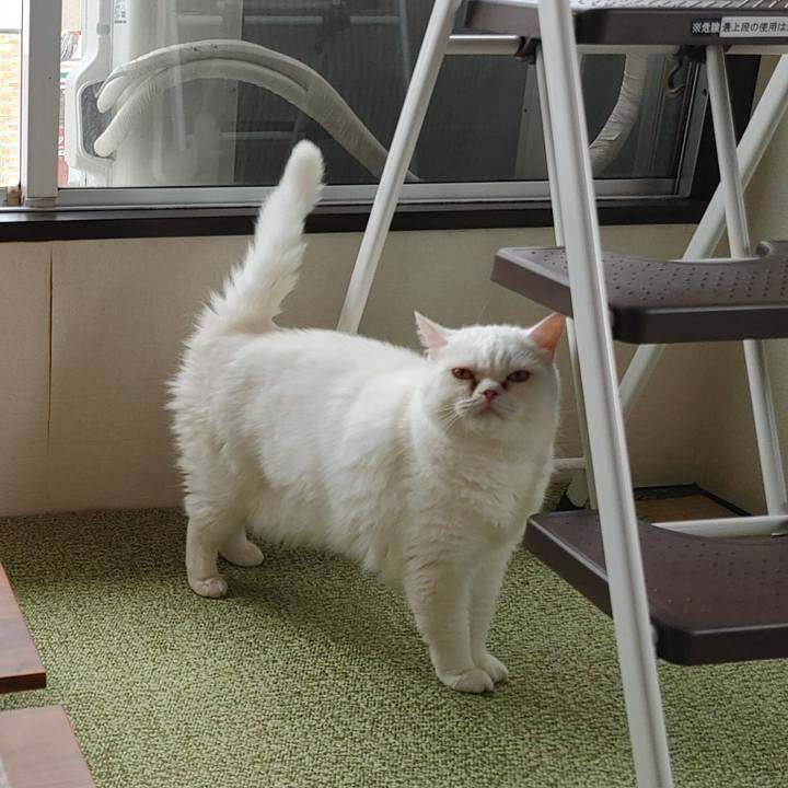 29466574 ec86 4cba a8c9 6cf3d5cc321f 1660437395418