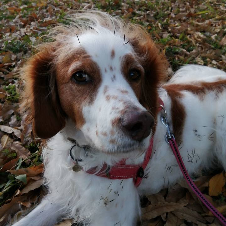 29466903 6da7 49c9 b946 d8c8ab0b0863 1608077536757