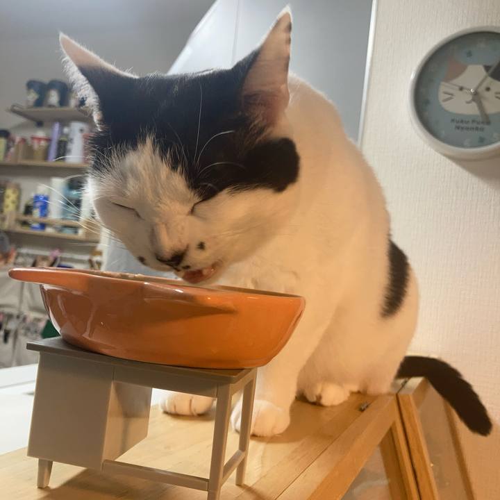 2946882b abc7 41c1 9954 3dfa634f2fbe 1763065210682