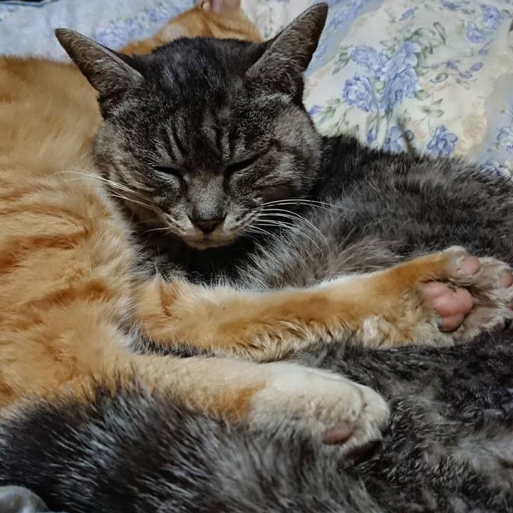 2946b10c d9c8 491b ab92 4cfa5c929a96 1582379922464