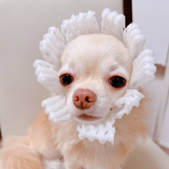 2946c570 ac91 4bcd 8299 088549b8598b 1663243478187