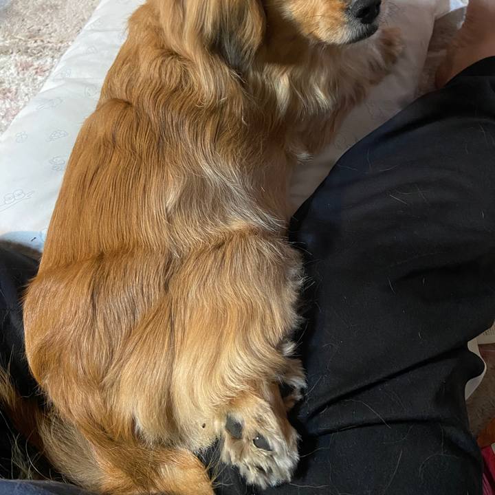 2946eb24 608b 4d83 94d0 28d20f682ae6 1644961695132