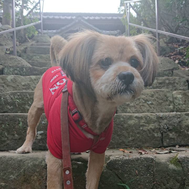 2947024a a453 4a2a 855b cb6942baff45 1578905205675