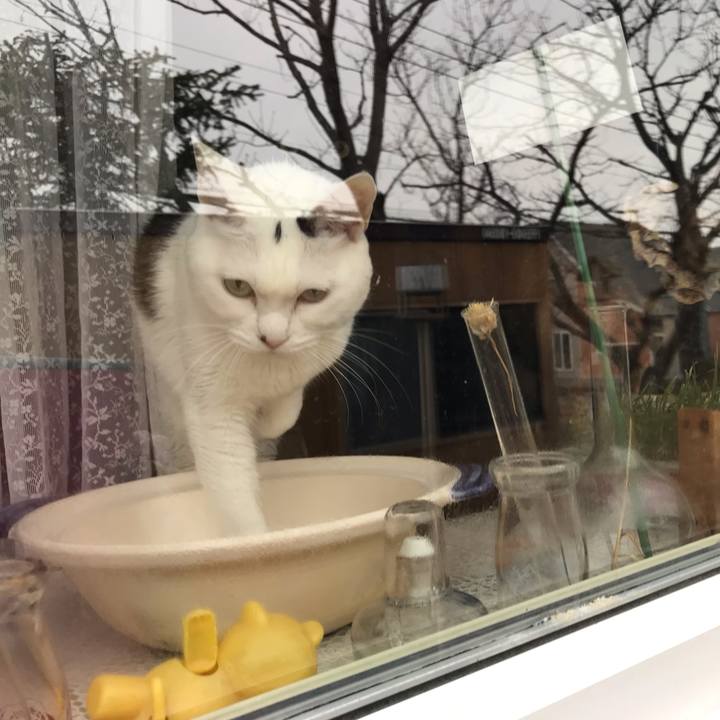 29472abd af9f 419e 9e6a 8c289b146592 1650315737708