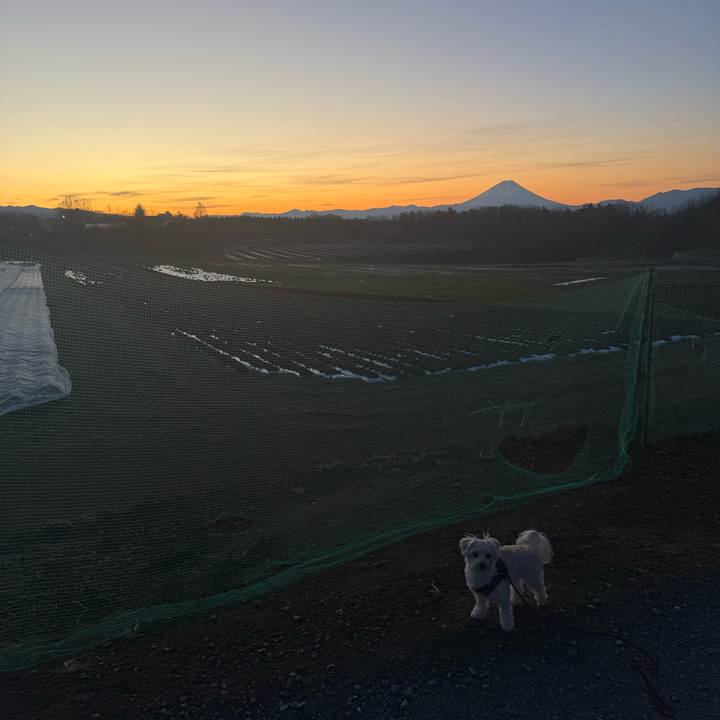 29473e9c 382c 480d 8be5 c235ff8989ec 1767575491930