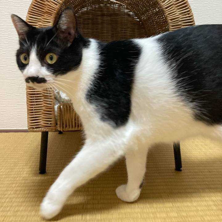 29477ffe fdb5 48f9 b64d 9ae1a0a7763c 1756213323390