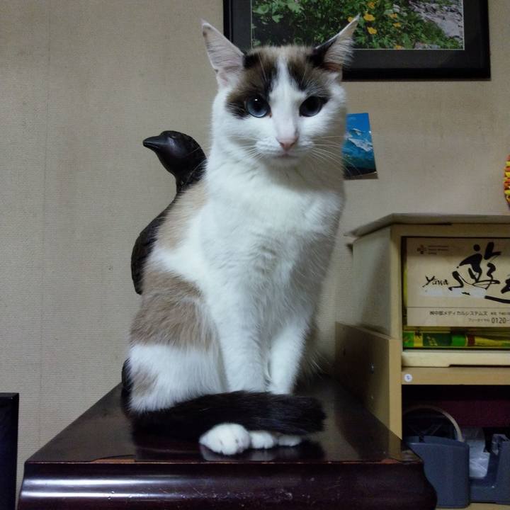 294783f2 0d3f 4393 8869 fa43836b1c7c 1583410154953