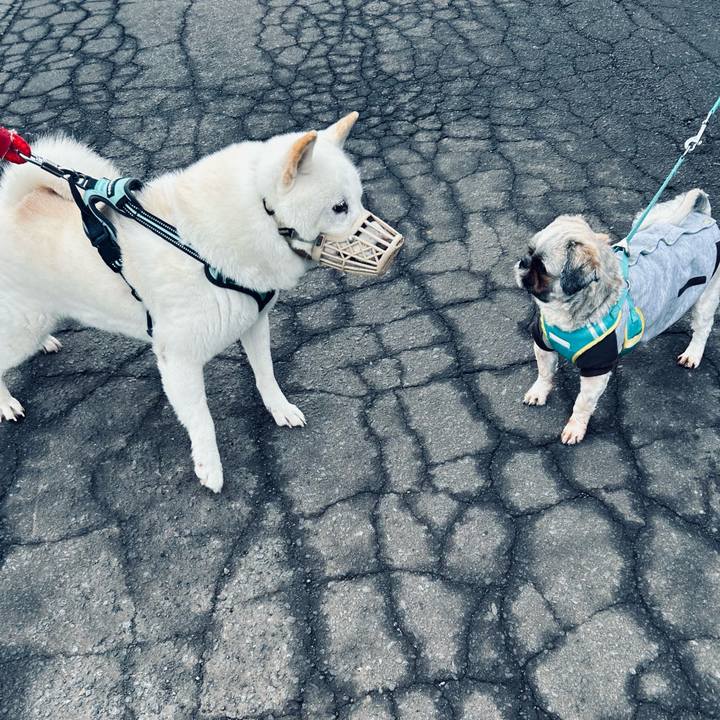 2947cfd7 9b26 4cb7 8ce0 3e3b352ef5d1 1696890454222