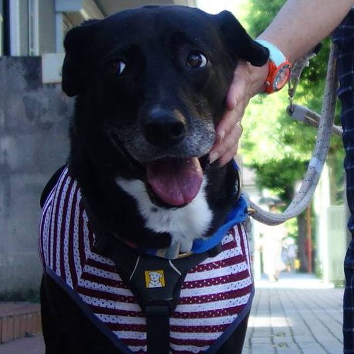 294802a7 6ebb 40d5 ae83 27d4880a5603 1659139510462