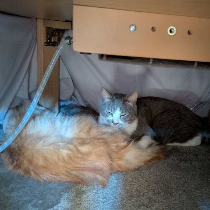 2948204e 186d 4ec9 949e 126c4435b36a 1735790458720