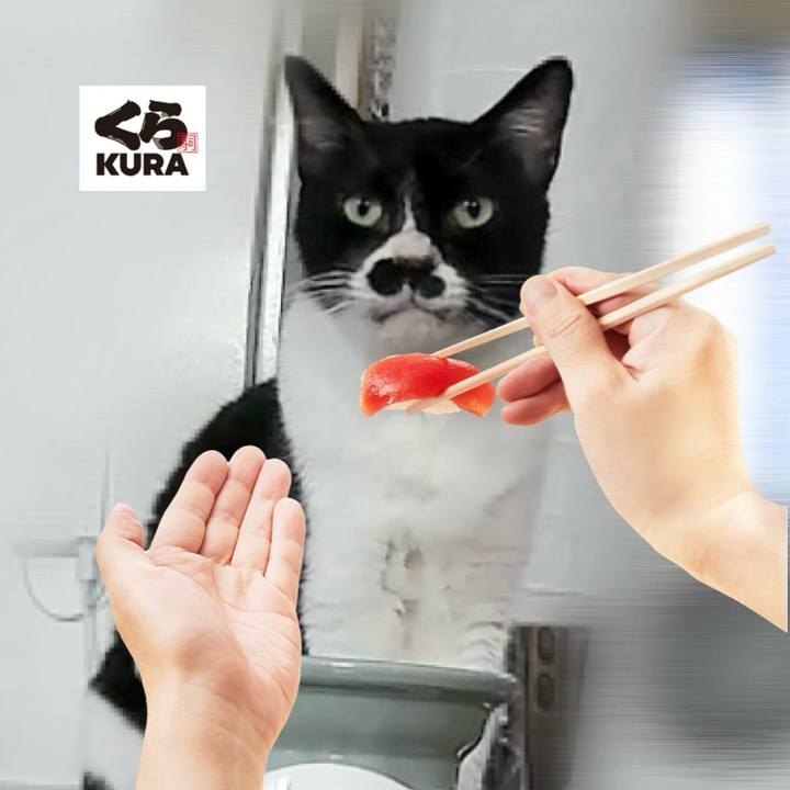 29483888 578a 4e8b a83a 1158b780d5c5 1728013052912