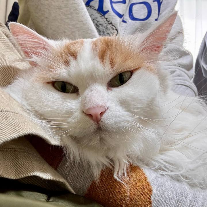 29484417 0f1d 465d 9c93 6eac86fcbbf8 1774754259100