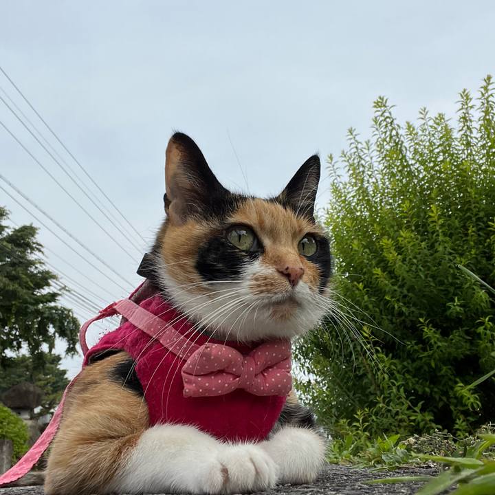 29484590 84c5 4708 af0e 3102ee5ca179 1655505816734