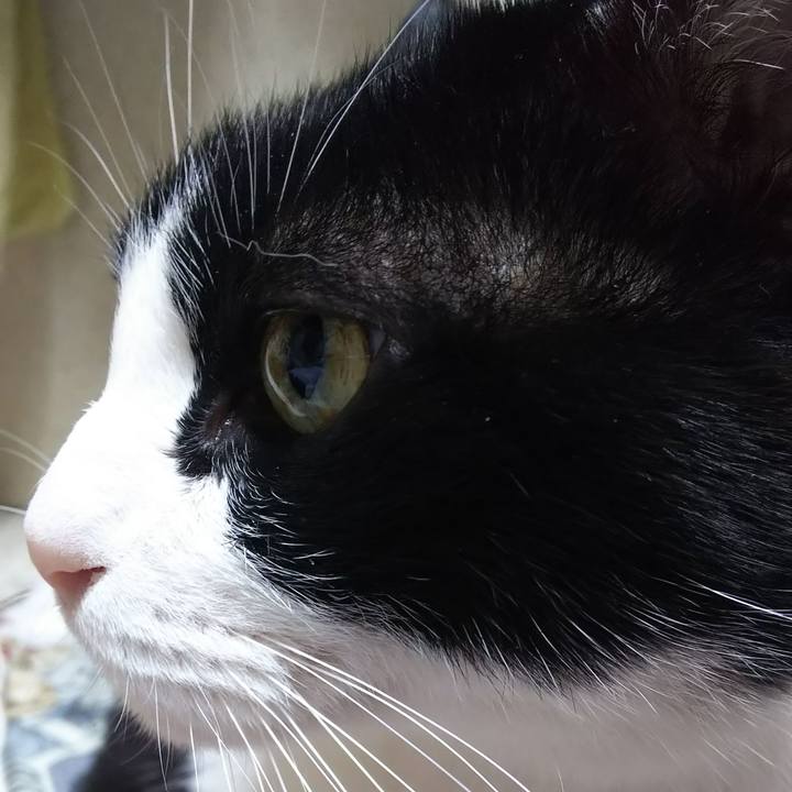 294859b7 eadd 4cbf 8f4e 80176d083eeb 1580334660672