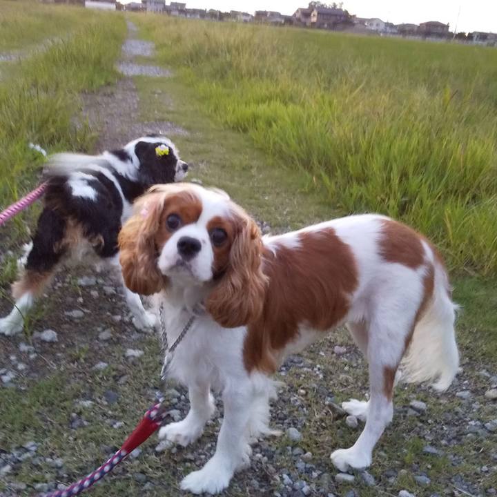 2948a62c c8ba 458e bf8a a19e2e386a25 1600172655329