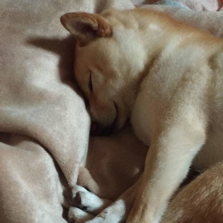 29490043 bcdd 4df6 a130 b254efbd95d8 1555332129449