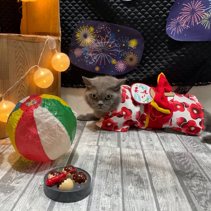 29490cc6 e533 4675 b67c ba88df46323b 1692530395156