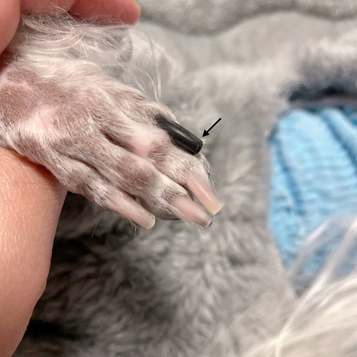 294930b7 cdc8 448b 8fb7 374653d1c1ff 1768114177202