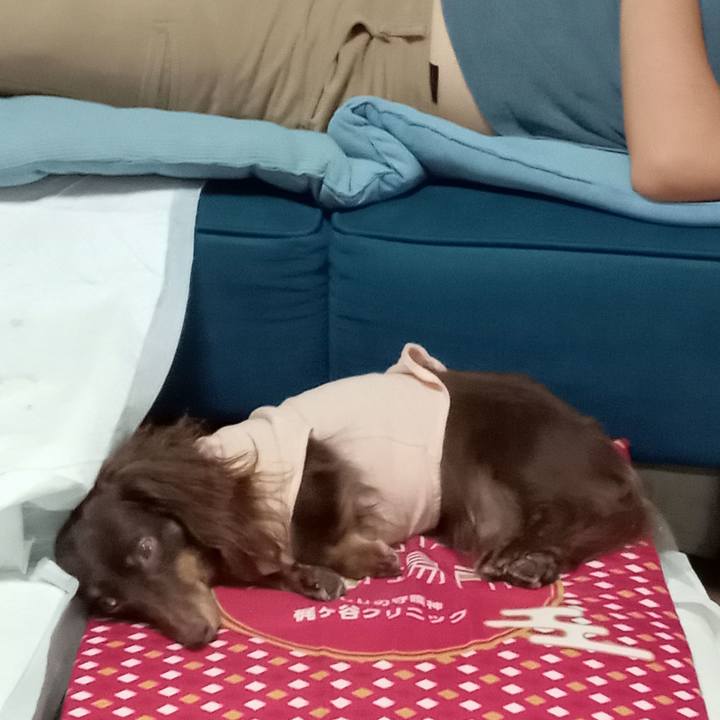 294940a8 1013 4ce9 b15f 837e7f0756f1 1762206724999