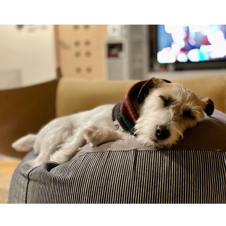 2949a2e9 2849 46e0 b1f6 0509f6c50884 1672748170477