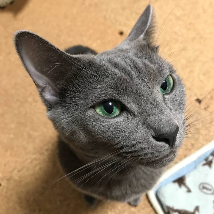 2949b8e3 8db3 44f4 9c3e 8c398ff5742f 1512989002349