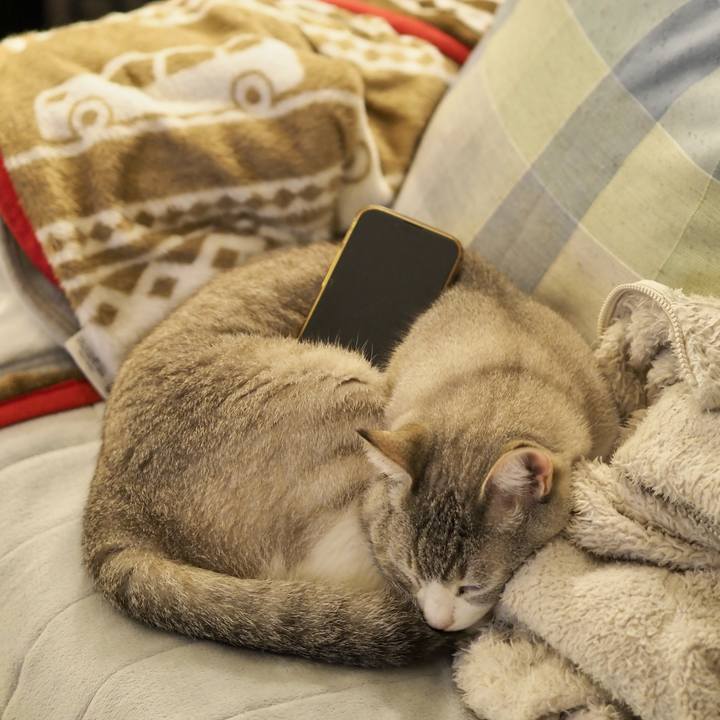 2949c304 b20a 4ee7 86f2 3a221959d47c 1741271361908