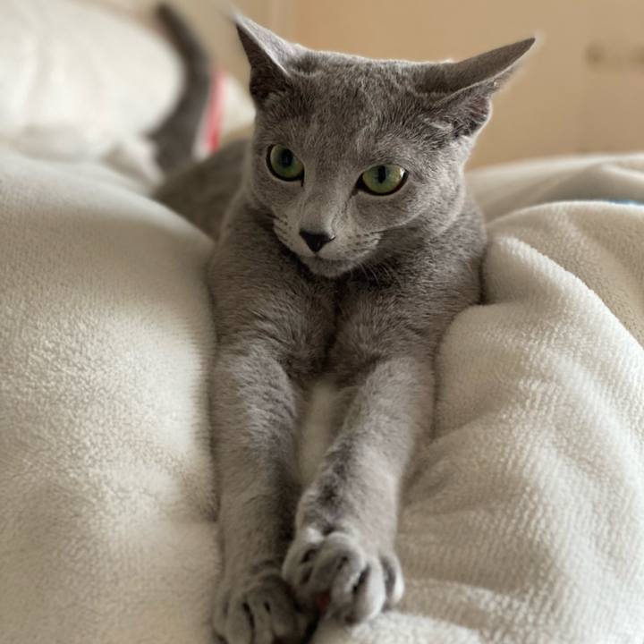 2949c89a 50c1 42a4 bace eb50dcd901b4 1614994327188