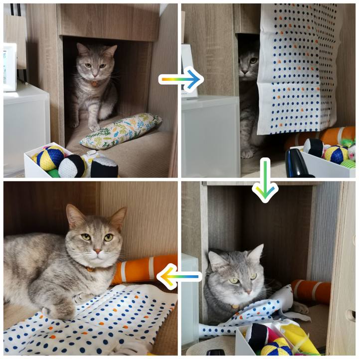 2949ca0a eca7 4275 9078 0b6a610bbda3 1599919482183