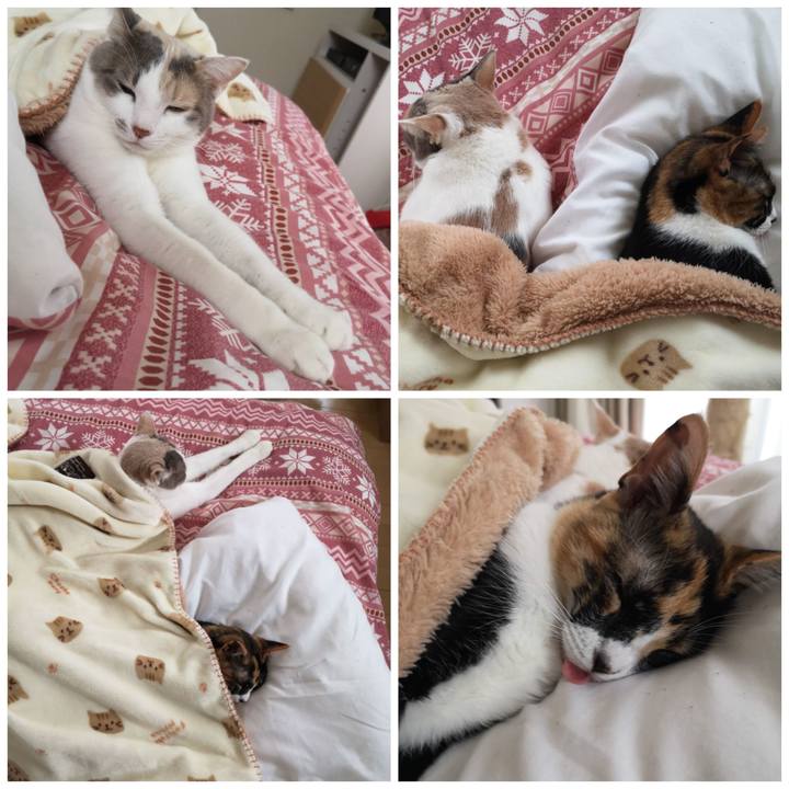 294a03bf 25a1 46b6 8944 be3b24abafd1 1606362676759