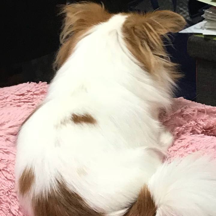 294a0aa5 84d7 4689 81d3 5fdbb710ba5a 1570252485098