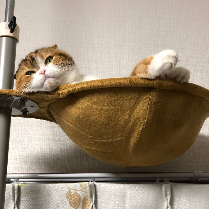 294a295f 8425 49a2 ae36 d3ba7c65026d 1578735688980