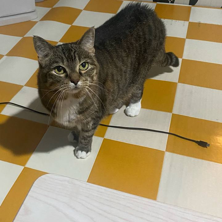 294a925c 74c3 42d4 87f6 4f86d32e85b3 1718031823172