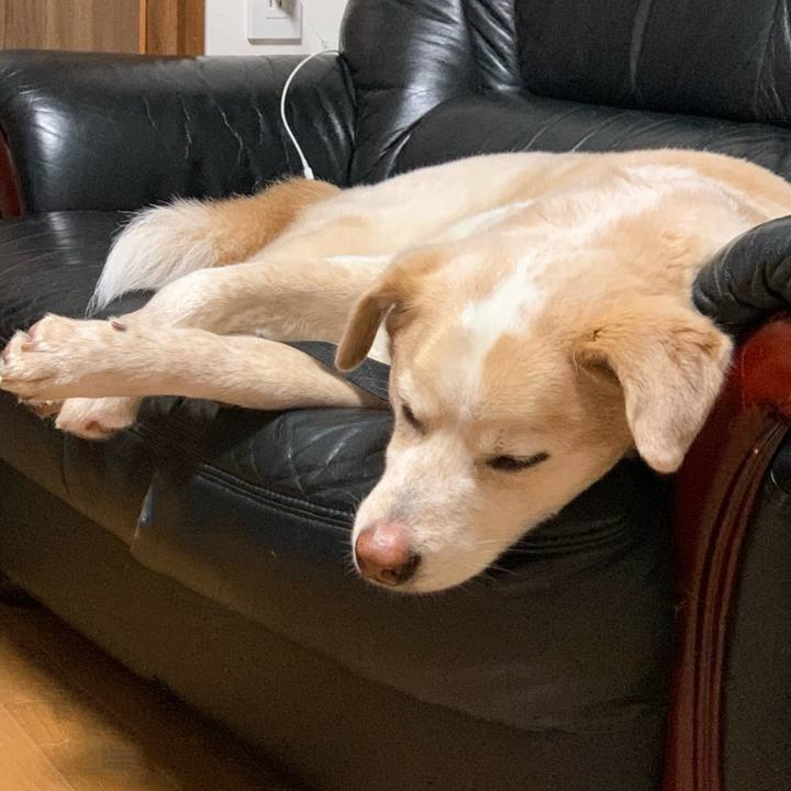 294ab018 a7ec 43f1 aeee 10935f1c8635 1617201566408