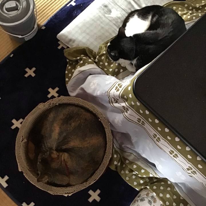 294ad07c 1a69 4df1 a2fd 963f018bc548 1708763748487