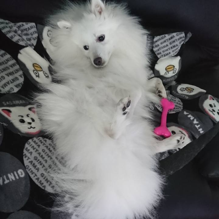 294aecaf e3cf 4d8f b066 84ab5e2b193f 1591936890240