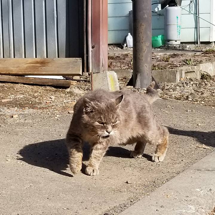 294b0243 2c1b 428e 8b96 450f6be632a4 1524058991394