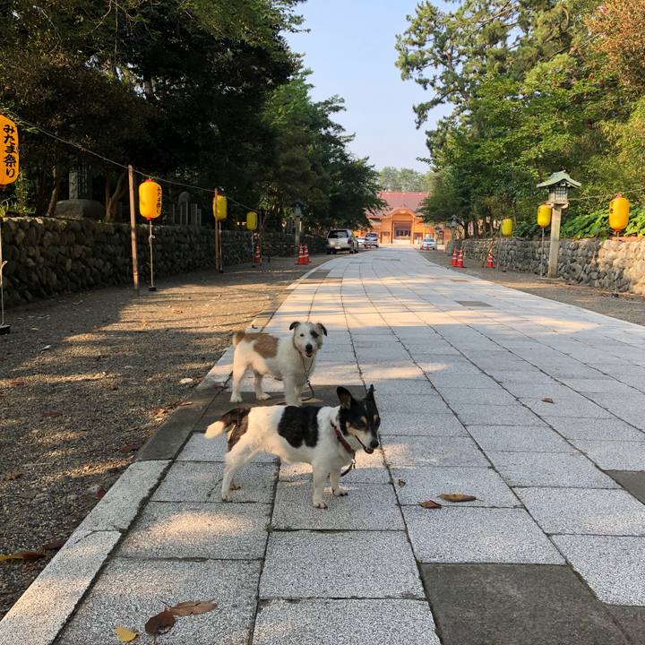 294b0b39 93f3 4a57 a545 12d8d0e9afd3 1565046138139