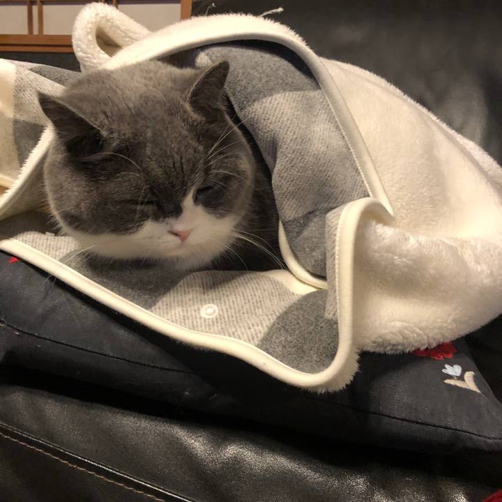 294b155e ff88 4c26 a60c 0e76057b8462 1580474008493