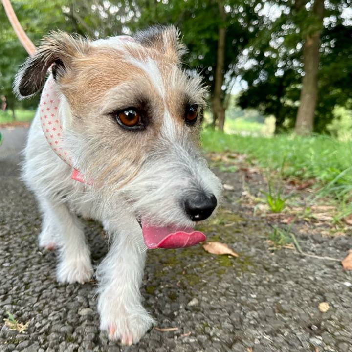 294b3ed6 d70c 4bb6 9132 b0b2c2e97db3 1692282336504