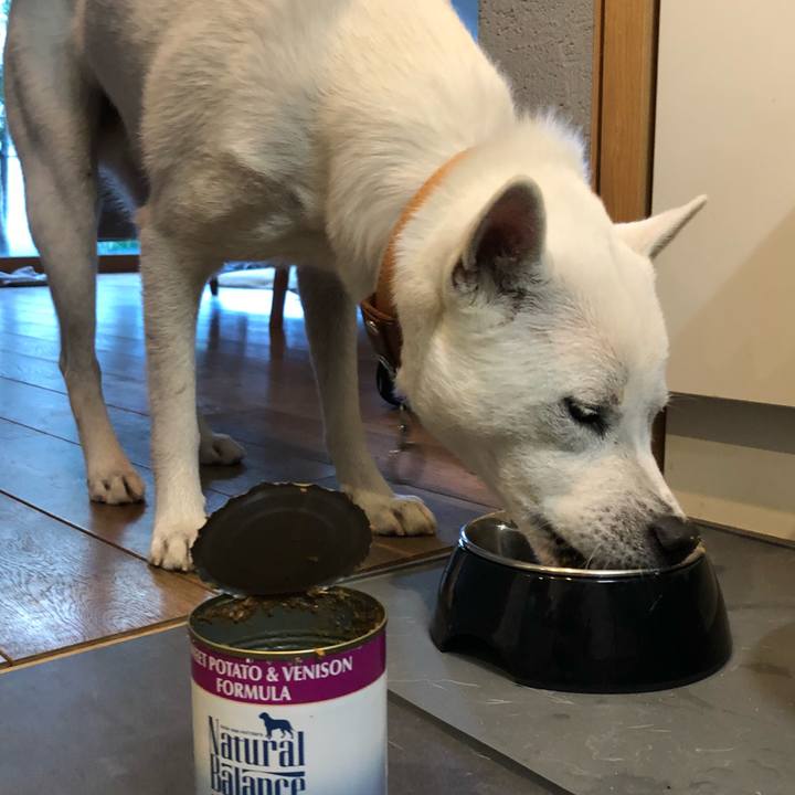 294b4b15 2273 4453 886d bd60e6a55087 1541203125437