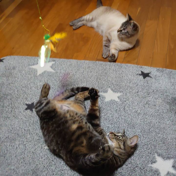 294b4fb5 35e9 4f14 9a45 434b1a04c6ef 1620993031702