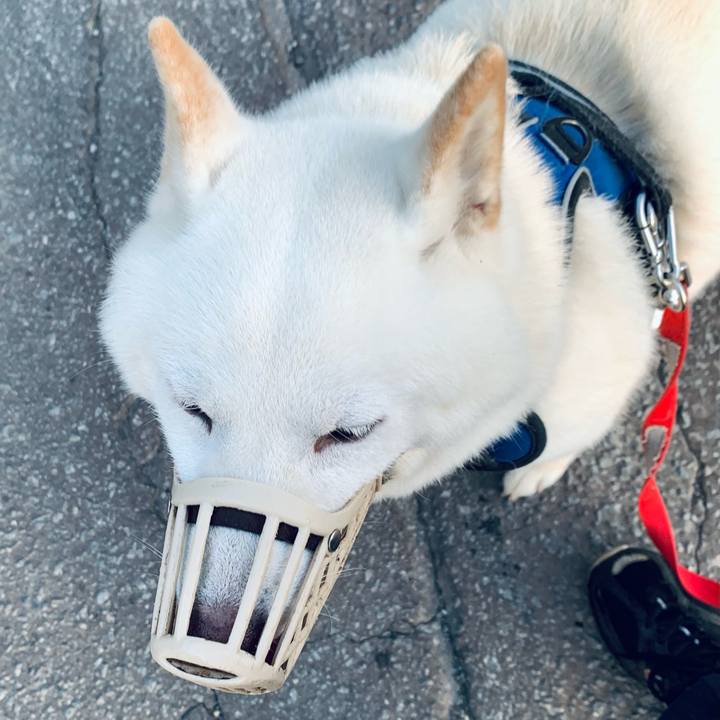 294b82c2 1479 445c bc76 d3b433c251dd 1630792257668