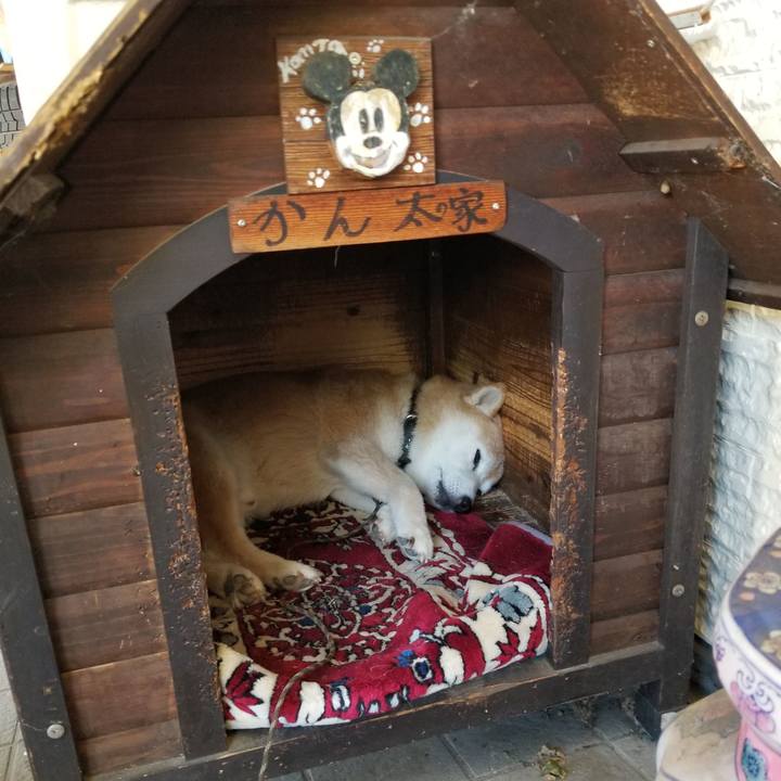 294b8e37 347c 45b4 a229 4744087b4ea5 1695520074891